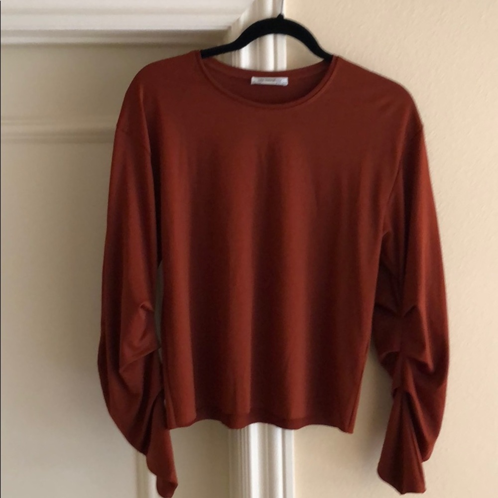 Brown Zara top